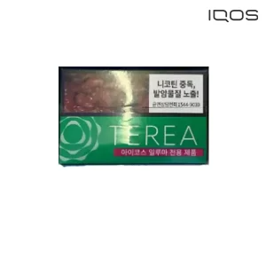 【薄荷】韓版TEREA煙彈 IQOS ILUMA主機專用 加熱菸彈 整條煙(10包)